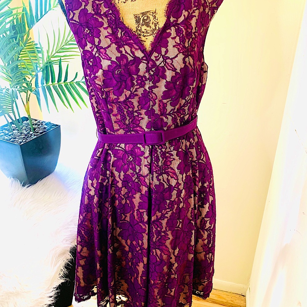 Eliza J Purple Nude Lace A-Line dress